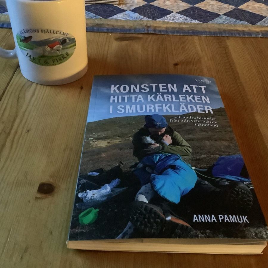 KONSTEN ATT hitta kärleken i smurfklädser bok Anna Pamuk