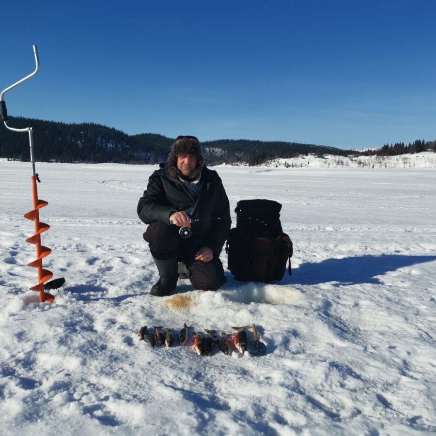 Pimpelfiske stora Blåsjön röding