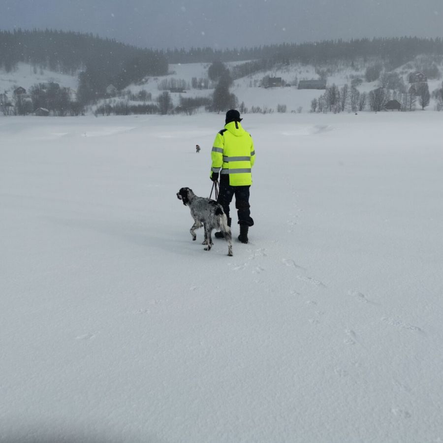 Ronny, skaididalens BP Mighty Sky, Blåsjön, vårvinter.