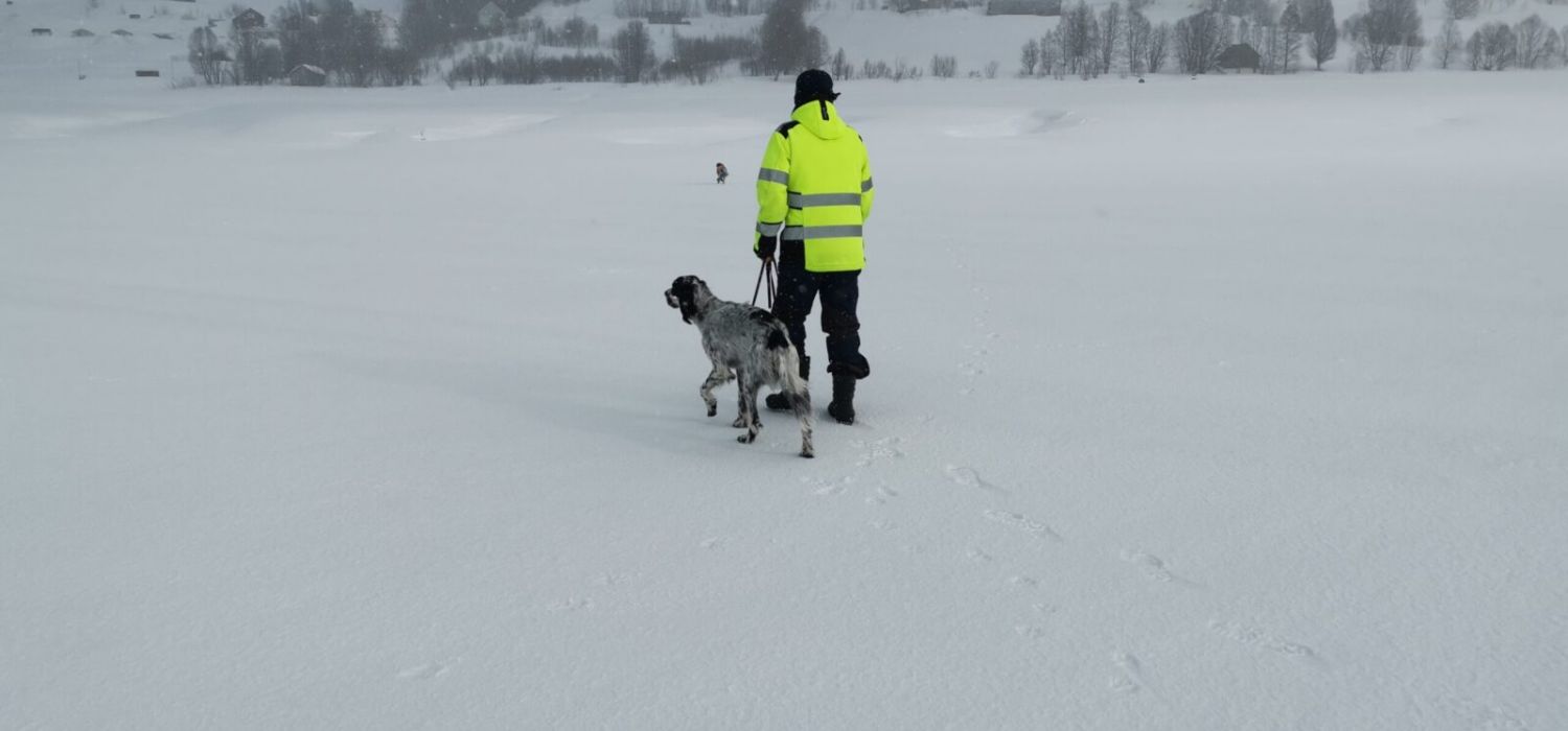 Ronny, skaididalens BP Mighty Sky, Blåsjön, vårvinter.