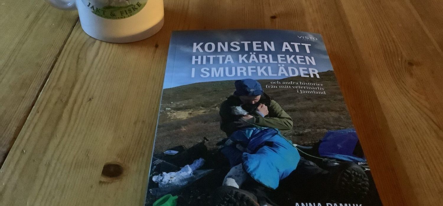 KONSTEN ATT hitta kärleken i smurfklädser bok Anna Pamuk